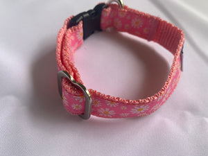 Pink Daisy - Dog Collar