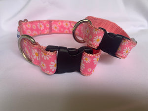 Pink Daisy - Dog Collar