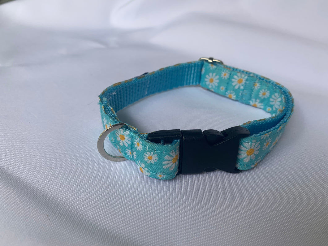 Blue Daisy - Dog Collar