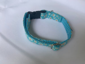 Blue Daisy - Dog Collar